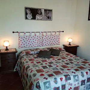Couette-café Alexander, Ciampino